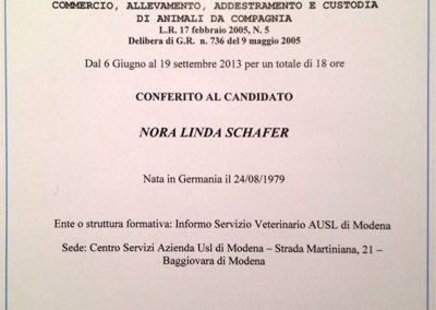Attestato di partecipazione a corso veterinario regionale su allevamento e addestramento animali
