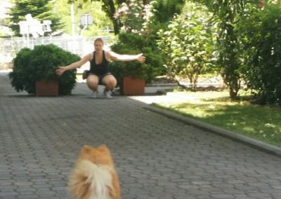 Cane di razza spitz richiamato a distanza verso la conduttrice accovacciata nel vialetto