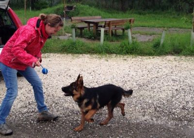 Educatrice gioca con una pallina insieme a un cucciolo di pastore tedesco nel piazzale