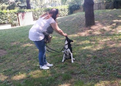 Educatrice si china verso cucciolo bianco e nero durante una seduta in giardino