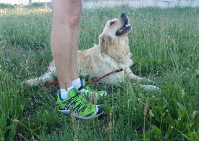 Golden retriever sdraiato all'ombra accanto alle gambe del proprietario