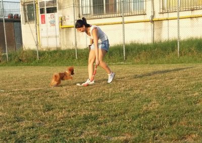 Ragazza richiama un cucciolo che le corre incontro su un campo erboso