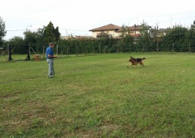 Conduttore richiama un pastore tedesco che corre verso di lui nel campo cinofilo