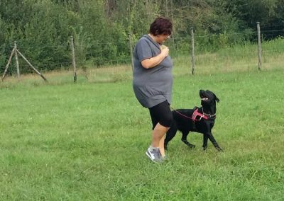Educatrice lavora la condotta con un cane nero che le trotta accanto sul campo