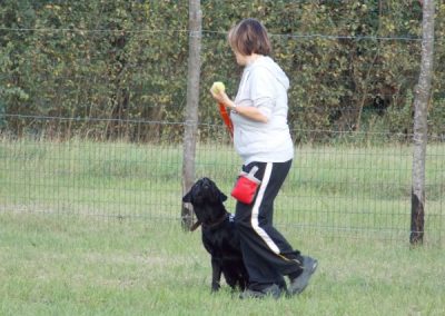 Educatrice lavora con un cane nero in campo durante una sessione di gioco