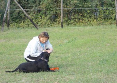 Educatrice accarezza un cane nero seduto vicino a lei sul prato