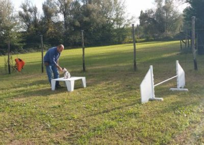 Conduttore prepara gli ostacoli da agility nel campo del centro cinofilo