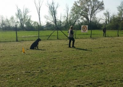 Esercizio di resta con pastore tedesco e conduttore nel campo addestramento