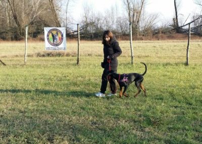 Conduttrice cammina al guinzaglio con un segugio nel campo del centro cinofilo