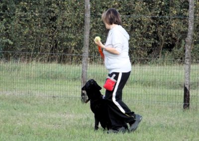 Cane nero esegue un esercizio di condotta accanto alla conduttrice sul campo