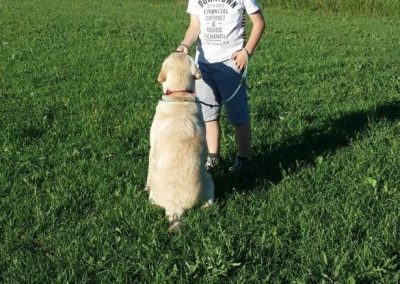 Bambino al fianco di un Golden Retriever tenuto al guinzaglio sul prato