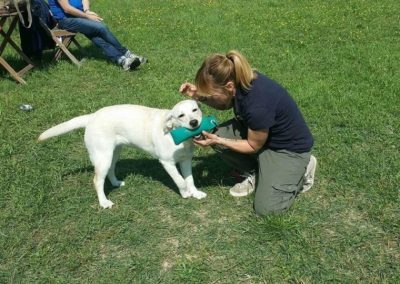 Educatrice premia con un riporto un cucciolo bianco durante l'addestramento