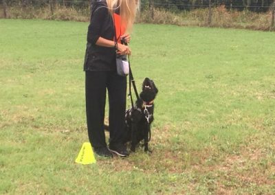 Educatrice lavora con un cane nero al guinzaglio tra i coni sul campo