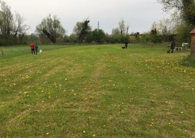 Campo di addestramento all'aperto con persone e cani al lavoro