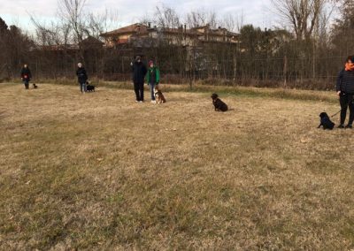 Gruppo di cani e conduttori in cerchio durante una lezione all'aperto