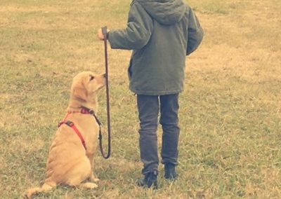 Bambino conduttore al guinzaglio con cane Golden Retriever seduto attento sul campo