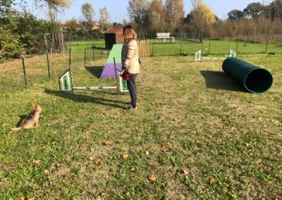Educatrice nel campo di addestramento con ostacoli da agility e cucciolo che corre
