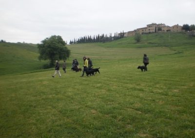 Gruppo di persone in passeggiata con i cani su una collina verde