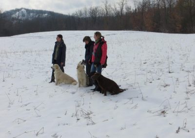 Tre persone con golden retriever e labrador cioccolato su un campo innevato
