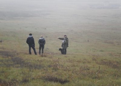 Conduttori e cane al lavoro su un pascolo avvolto dalla nebbia