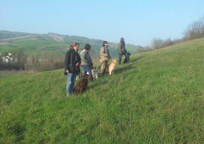 Gruppo di conduttori con i propri cani in passeggiata educativa su una collina