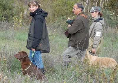 Educatrice con Labrador cioccolato e altri conduttori in addestramento all'aperto