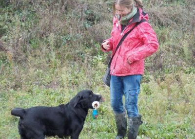 Educatrice gioca con un Labrador nero usando una pallina in campo
