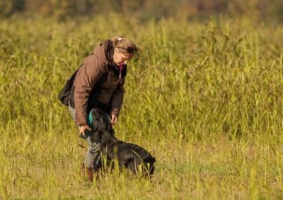 Educatrice lavora con un cane scuro in un campo al tramonto