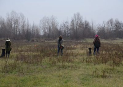 Tre conduttori con i loro cani durante un'uscita di addestramento in campagna