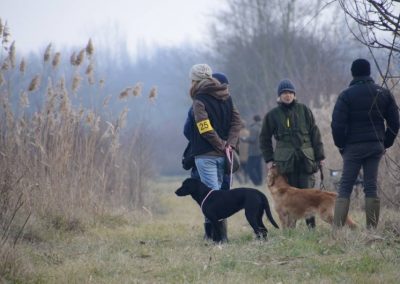 Conduttrice con pettorina gialla e cane fulvo lungo un sentiero tra i canneti