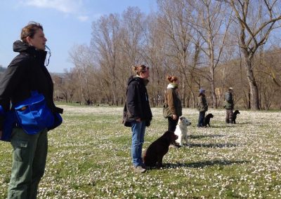 Gruppo di conduttori con i cani seduti in un prato fiorito di primavera
