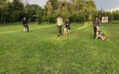 Lezioni di gruppo