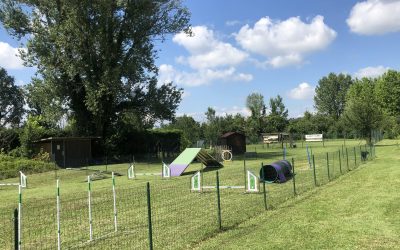 Nuovi attrezzi al campo