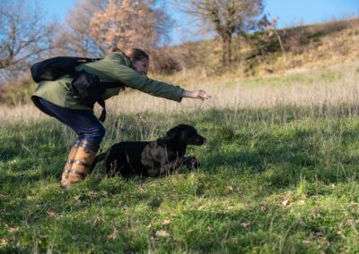 Conduttore durante un esercizio di resta con un Labrador nero in un campo collinare