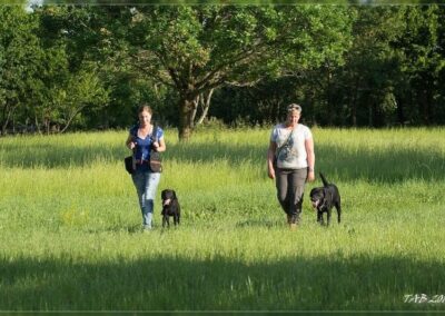 Due conduttrici camminano nel prato verde affiancate dai cani al guinzaglio