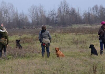 Lezione di gruppo in campo, tre conduttori con i loro cani seduti sul prato